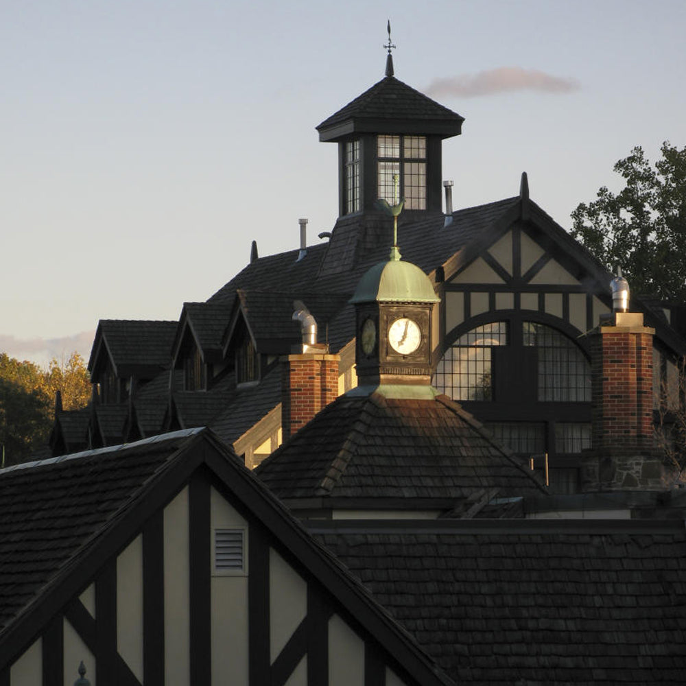 Neighbourhood Guide: Sherway Gardens