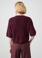 Antonelli Belice Short Sleeve Sweater