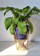 Haute Curature Italian Mid Century Modern 'Alla Moda' Palette Plant Pot, 1960s