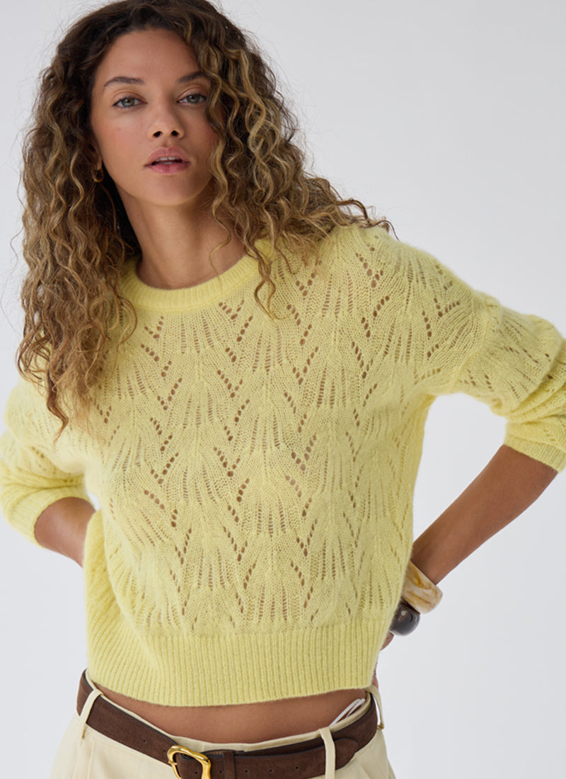  Allover Pointelle Cashmere Long Sleeve Sweater by Autumn Cashmere at Andrews 