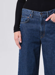 AGOLDE Low Curve Jean