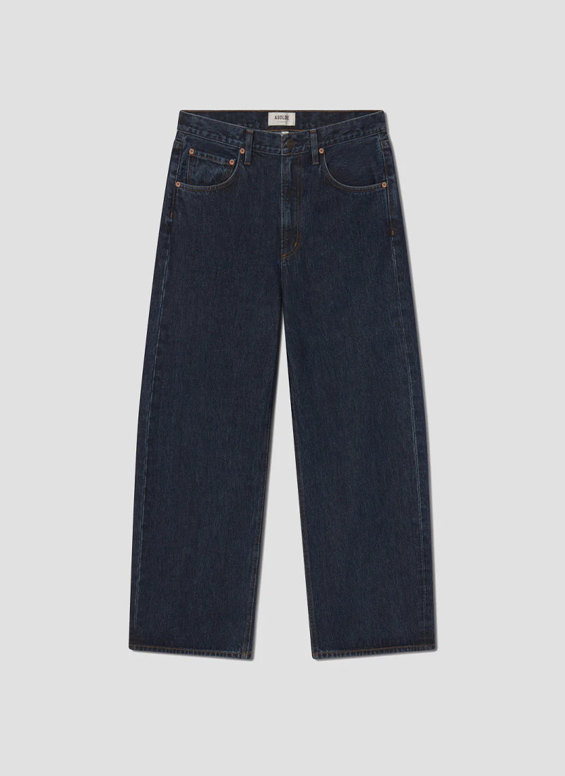 AGOLDE Low Curve Jean