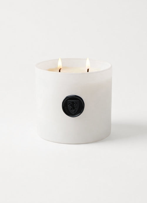 Driftwood and Salt Air Downtown Candle by Andrews