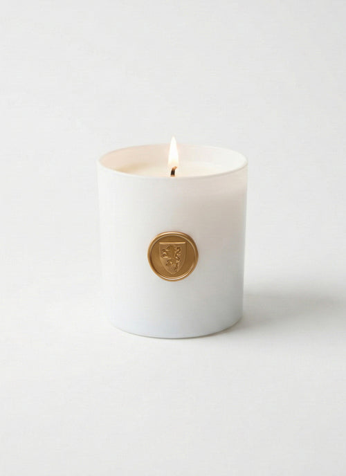 Parks Candle 9 oz by Andrews