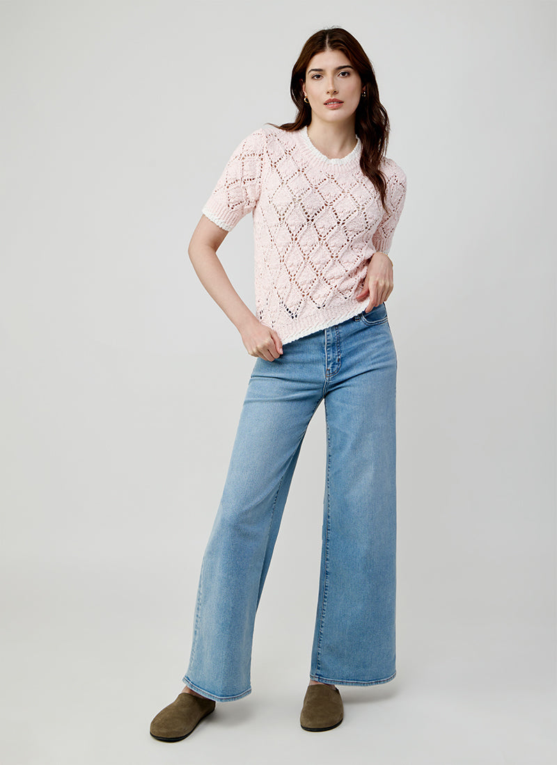 Autumn Cashmere Fancy Popcorn Stitch Short Sleeve Crew Neck Sweater