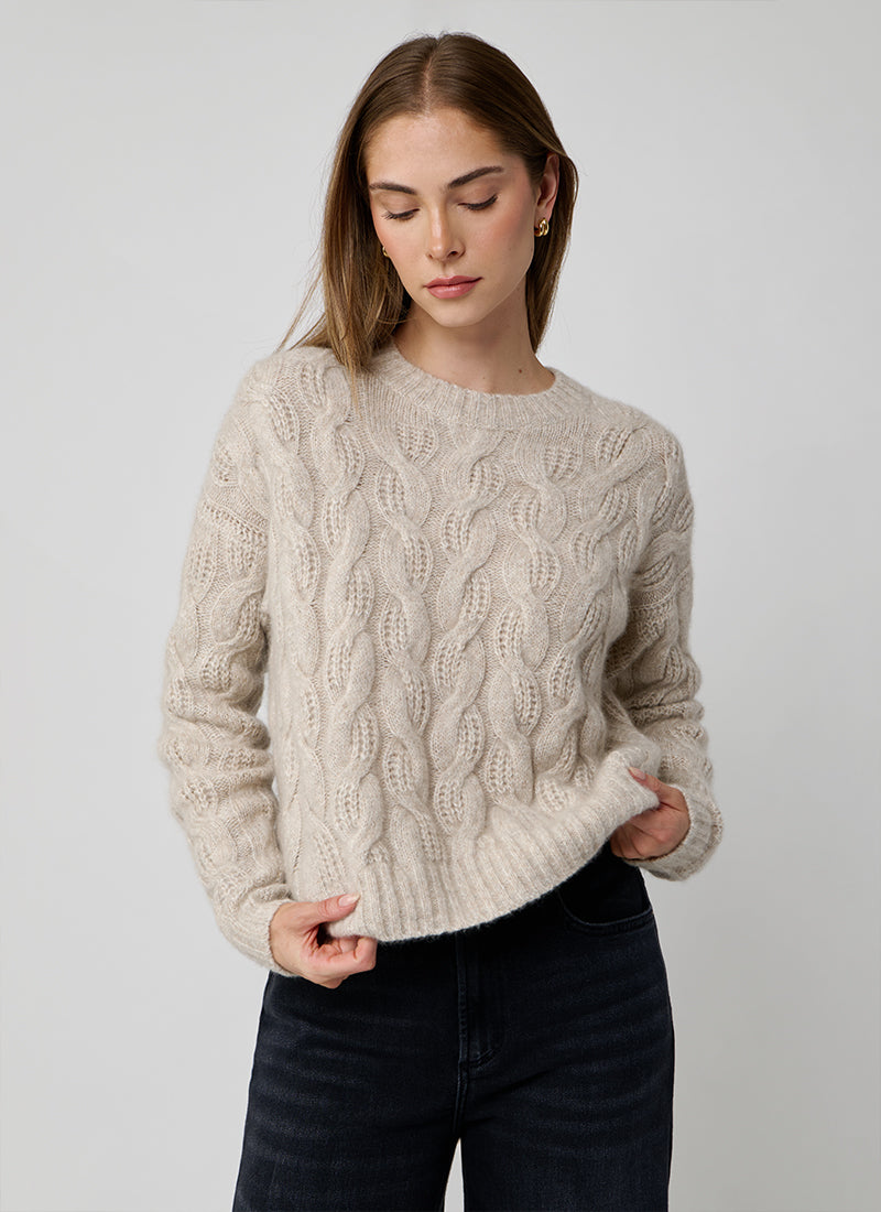 Autumn Cashmere Cable Crew Neck Sweater