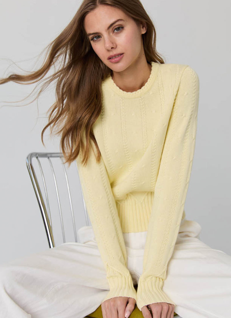 Autumn Cashmere Cropped Crew With Zig Zag Bottom Sweater