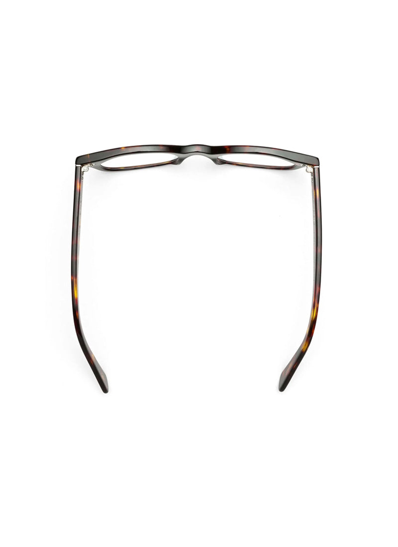 Bixby Tortoise Reading Glasses