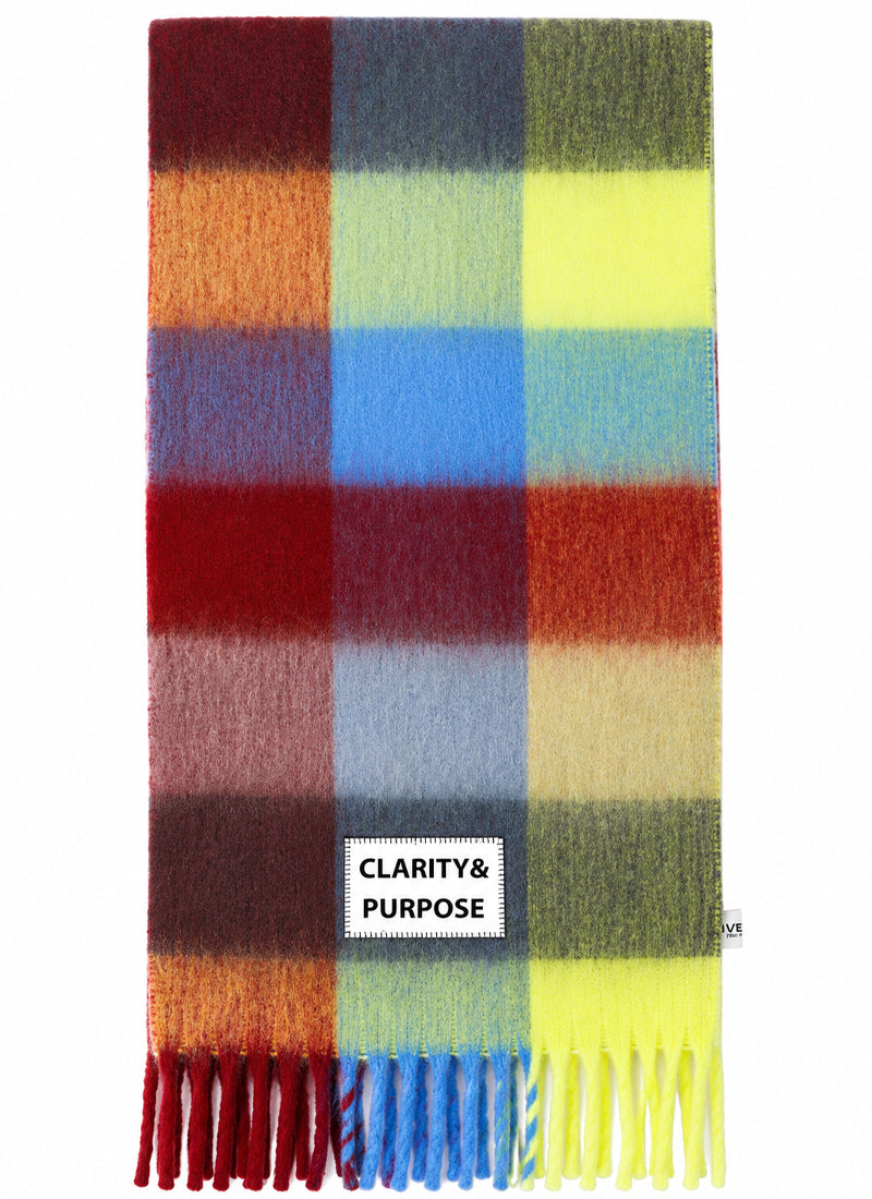 Clarity & Purpose Check Fringe Scarf