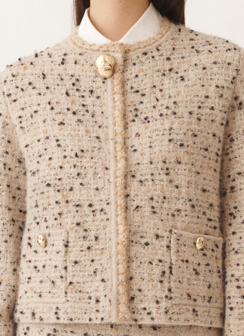 Fabiana Filippi Donnegal Tweed Jacket