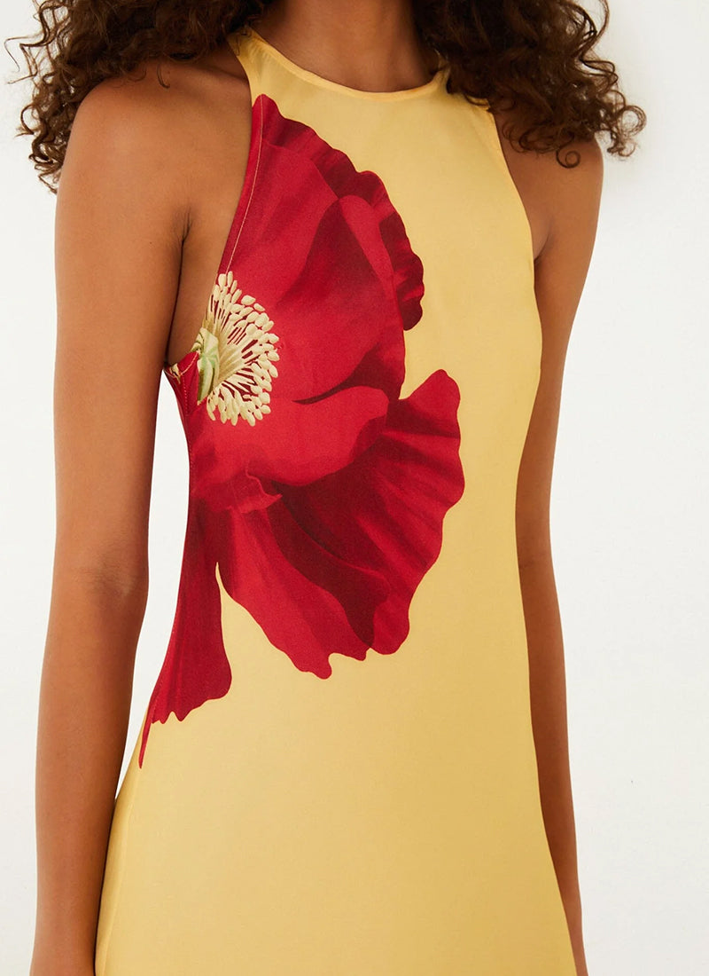 FARM Rio Poppy Flowers Maxi Dress
