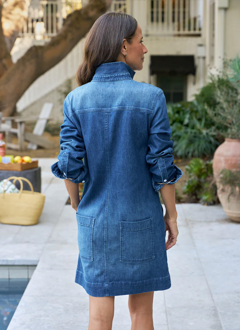 Frank & Eileen Ireland Utility Dress