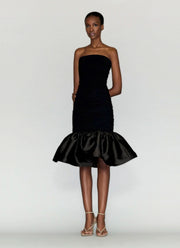 Crane Ruched Tube Dress