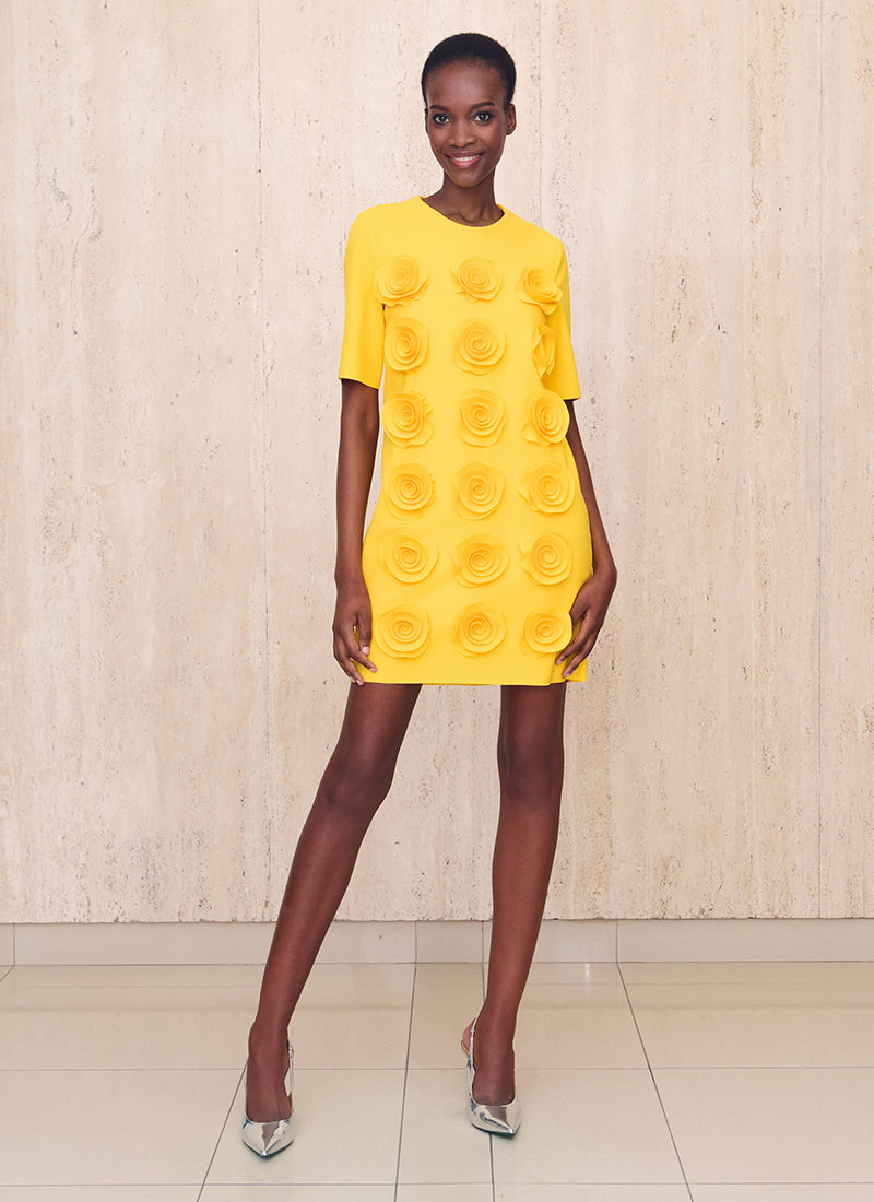 Greta Constantine Bassi Floral Applique Shift Dress