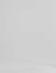 Brinley Straight Leg Jeans by AG Jeans at Andrews