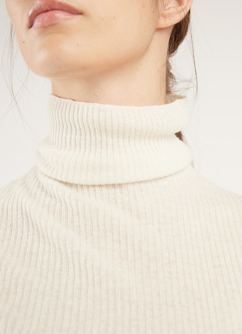 Fabiana Filippi Wool and Cashmere Turtleneck Sweater